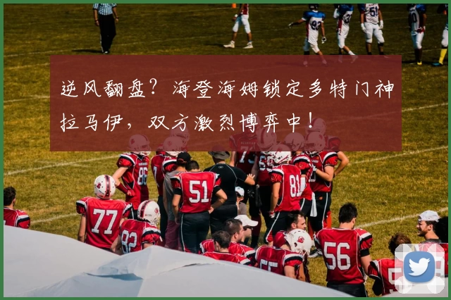 逆风翻盘？海登海姆锁定多特门神拉马伊，双方激烈博弈中！