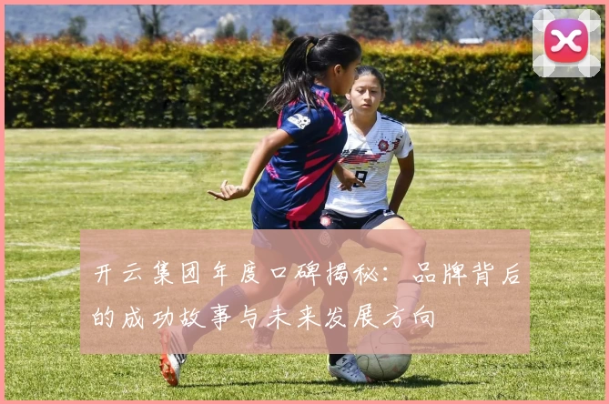 开云集团年度口碑揭秘：品牌背后的成功故事与未来发展方向