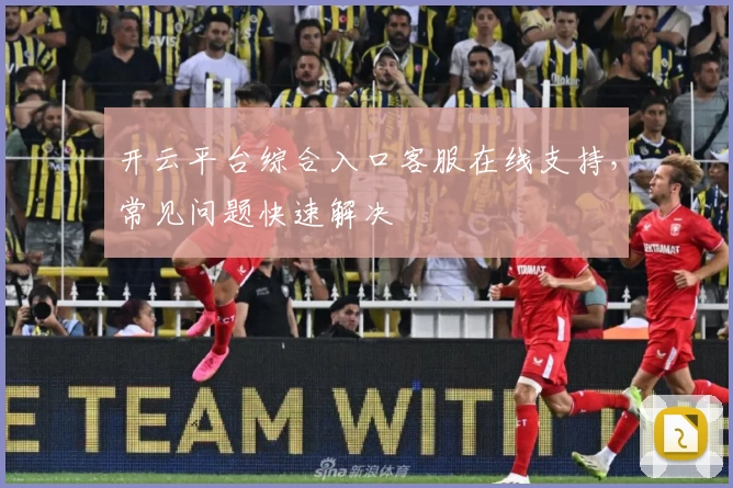 开云平台综合入口客服在线支持，常见问题快速解决